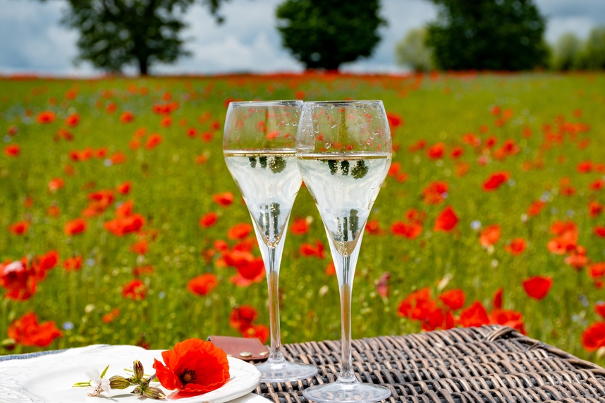 Crmant wines: an elegant alternative to Champagne